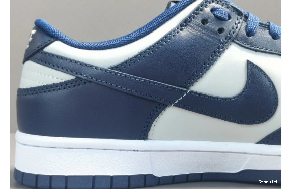 Low Georgetown Nike CW1590-004 Dunk 1005